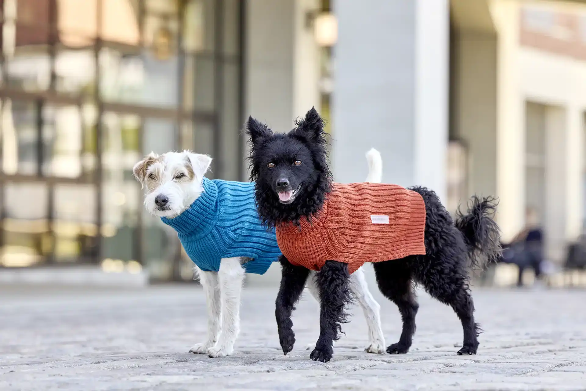 Knitted Pullover Ribsty